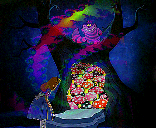 gif cat trippy tree movie dope lsd acid psychedelic crazy trip pink small