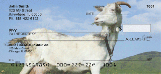 goat profiles personal checks animal checks allchecks com small