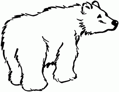 bear outline drawing at getdrawings com free for personal use bear small