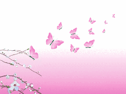 pink beauty wallpapers wallpaper cave summer flowers backgrounds small