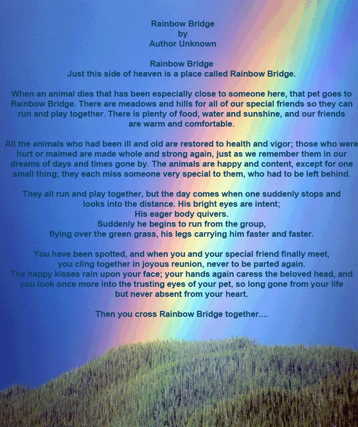 the rainbow bridge poem small