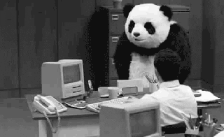panda table flip gif find share on giphy