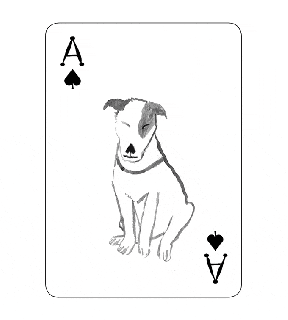 these dog playing cards have the most brilliant illustrations small