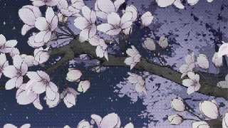 gif art anime beautiful night sky lovely flowers pink nature cherry sakura flower gif anime small