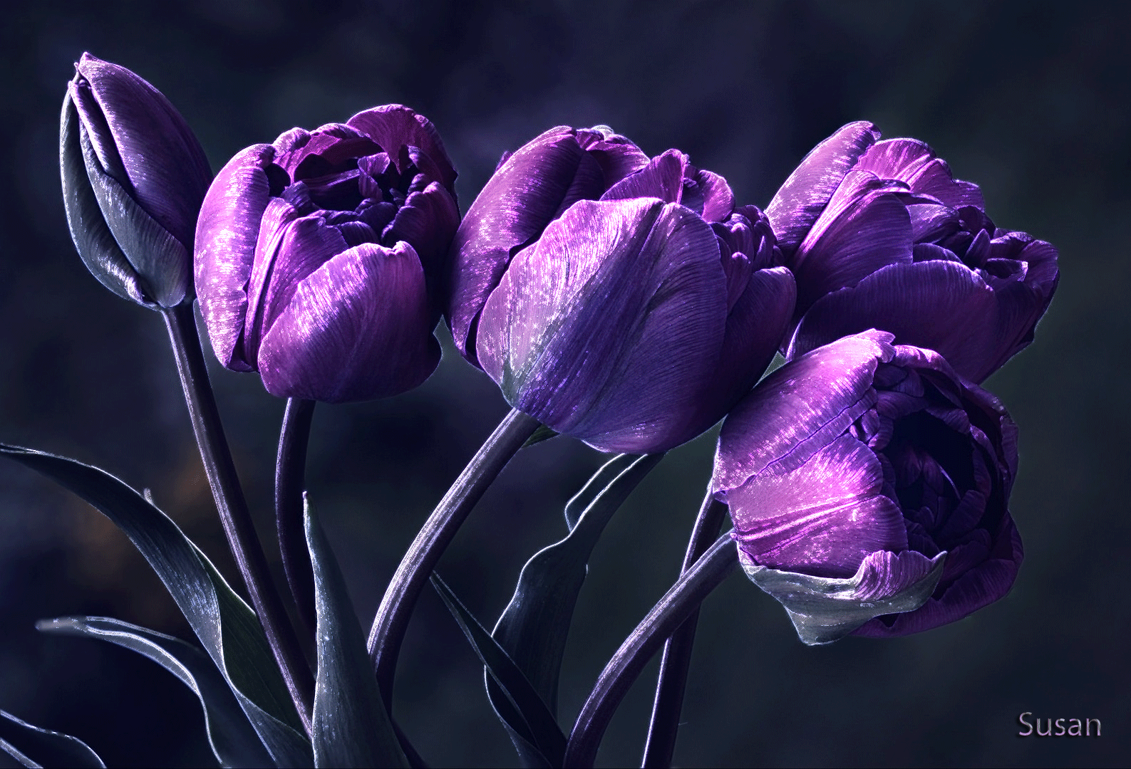 Image result for purple flower gif