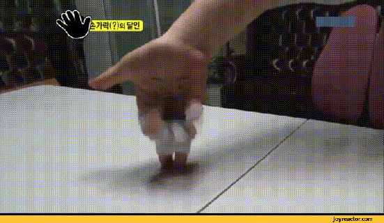 karate hand gif gif animation animated pictures funny small
