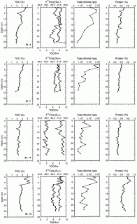 organic matter composition and sulfate reduction rates in sediments small