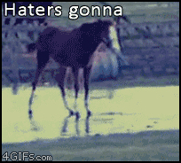 silly horse seeingstars small