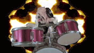 metaldog gifs find share on giphy small