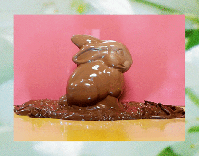 chocolate bunny gifs find share on giphy small