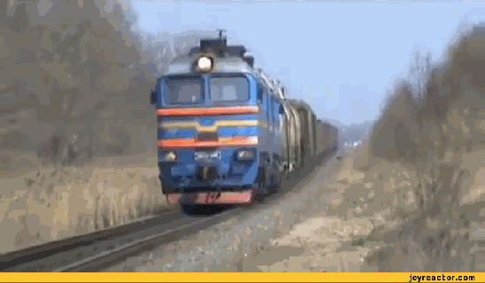 trollface train dog gif gif animation animated pictures funny pictures best small
