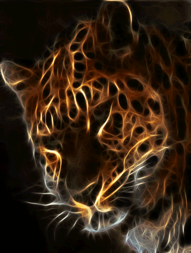 https://cdn.lowgif.com/small/ef0ffbd63f39319c-leopard-animation-by-megaossa-on-deviantart-beautiful-tigers.gif