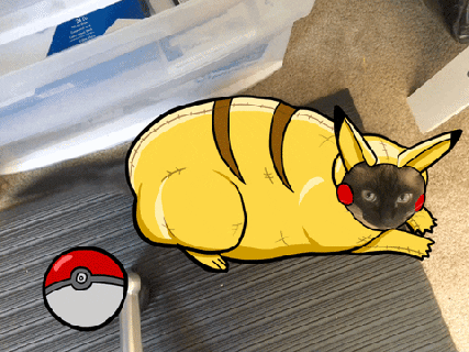 pokemon go cat gif by yomeryl find share on giphy small