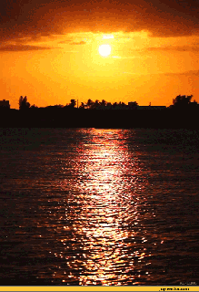 water sun gif gif animation animated pictures small