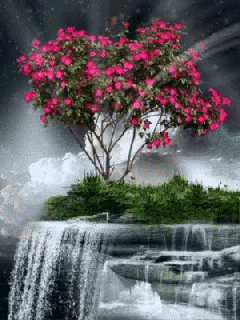 flowers water gif flowers water waterfall discover share gifs small