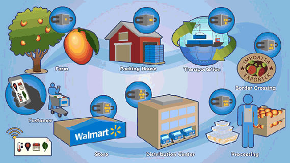 blockchain at walmart tracking food from farm to fork small