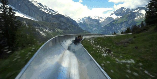 racing down a stunning alpine coaster reminds me to never small