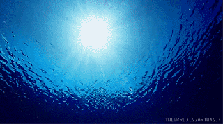 Underwater Gif 9 Images Download Ocean Background Underwater - LowGif
