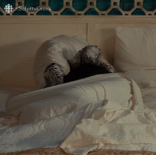 taking to bed gifs get the best gif on giphy small