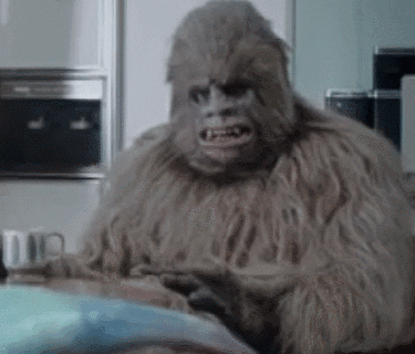 sasquatch gifs get the best gif on giphy small