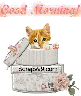 animated cat good morning small