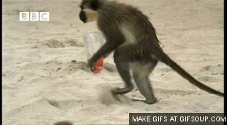 https://cdn.lowgif.com/small/f41a8ab8c0057cb1-gang-of-monkey-s-barter-stolen-goods-for-food-page-1.gif