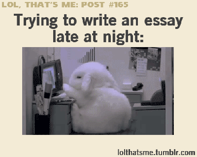 https://cdn.lowgif.com/small/f8934c3682cdcf4d-trying-to-write-an-essay-late-at-night.gif