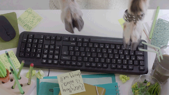 animals goat typing gif on gifer by samukora small