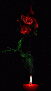 light versus dark gifs fantasy images and flowers small
