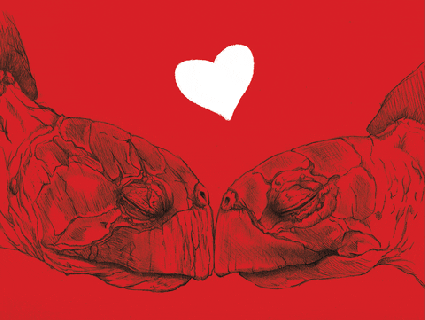love turtles hearts valentines gif by westhoffenator find share small