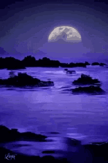 https://cdn.lowgif.com/small/fe995568a6fff8ed-moon-night-kingdom-gifs-tenor.gif