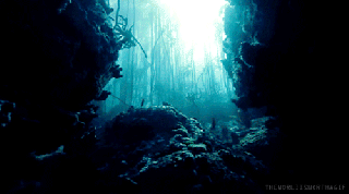 underwater worlds tumblr small