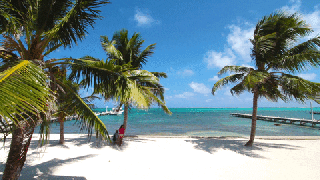 https://cdn.lowgif.com/small/fef2520c4e75734a-beach-belize-gif-find-share-on-giphy.gif