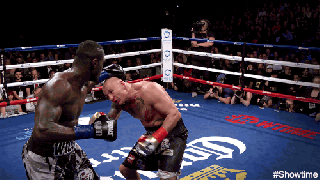 https://cdn.lowgif.com/small/ff03e6253c41aad5-gif-about-sports-punch-boxing-ko-knockout-boxing.gif