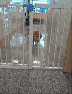 escape jail gif find share on giphy small