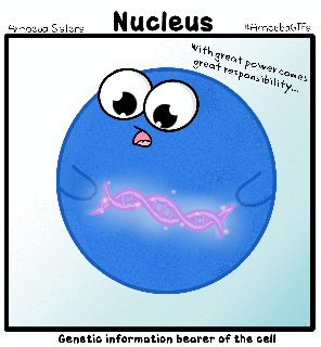 nucleus jokes funny school